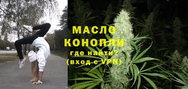 метадон Богданович