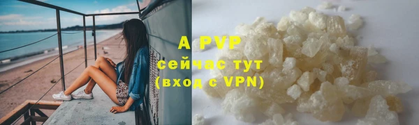 метадон Богданович