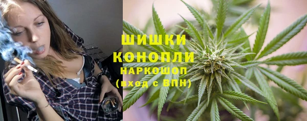 метадон Богданович