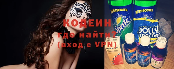 метадон Богданович
